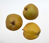 Wheelers Russet engelsk æble